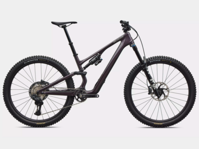 2020 Santa Cruz Hightower Carbon CC X01 - Reviews, Comparisons